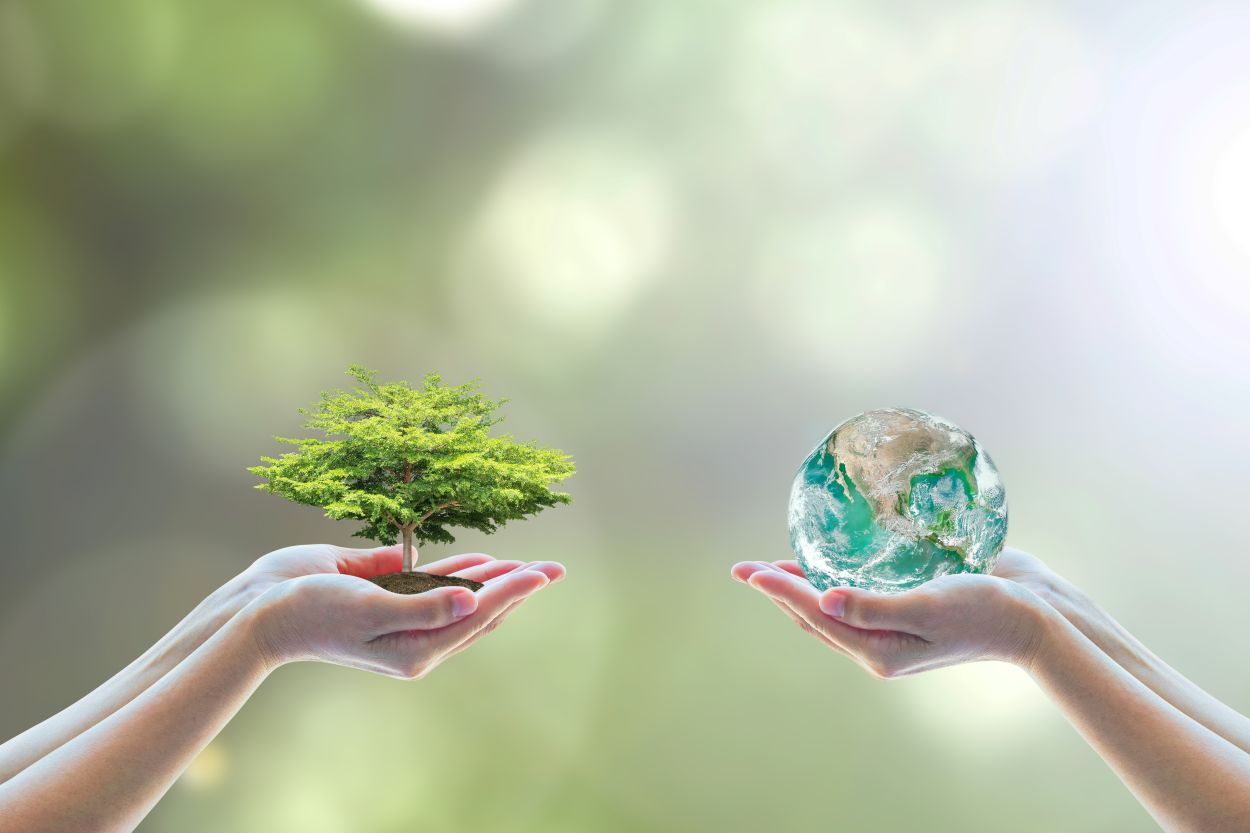 Eco-friendly earth, environmental saving with tree care planting and CSR go green concept on volunteering hands for World environment day. Element of the image furnished by ... See More